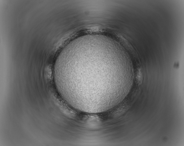 X0000115430715200911181501