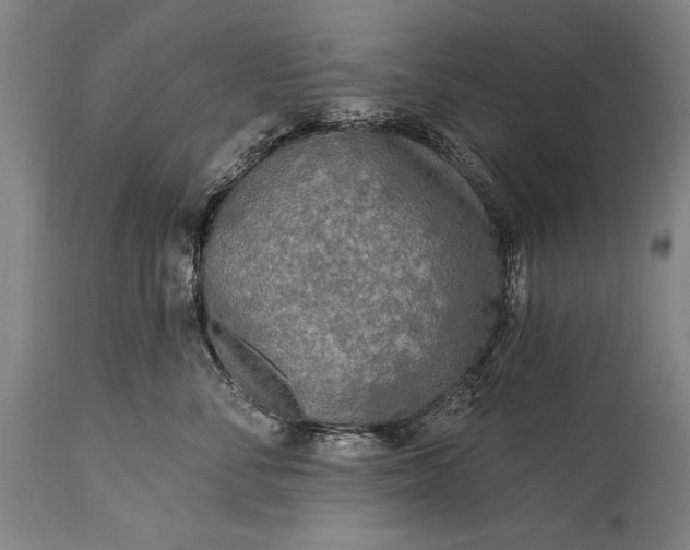 X0000115430716200911181501