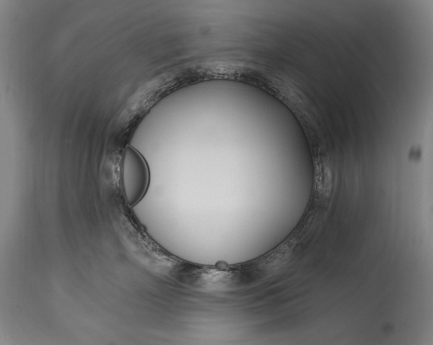 X0000115430718200911181501