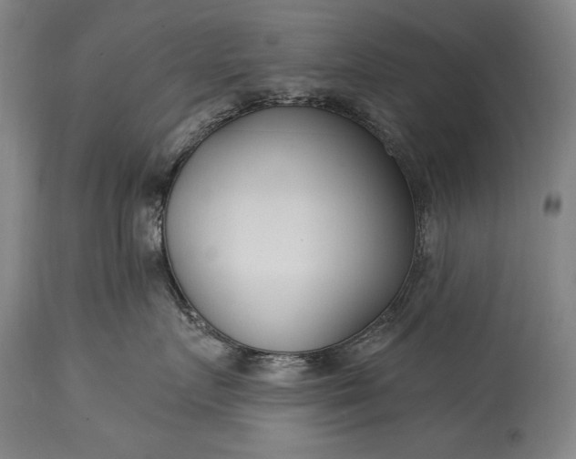 X0000115430719200911181501