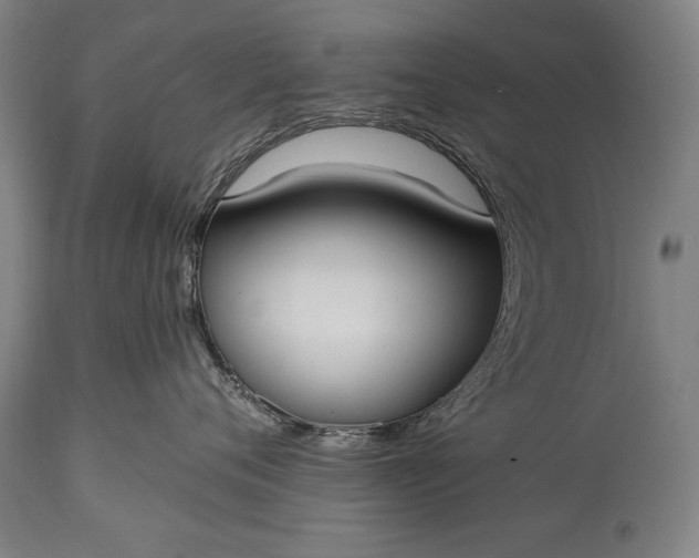 X0000115430720200911181501