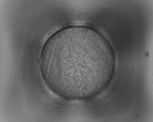 X0000115430721200911181500