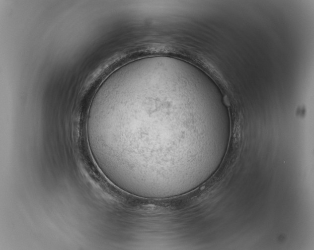 X0000115430722200911181500