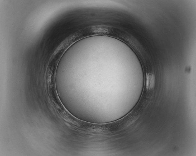 X0000115430723200911181500