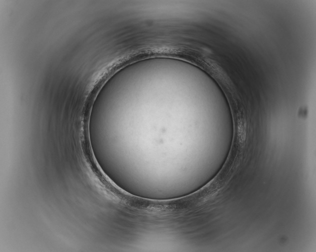 X0000115430725200911181500