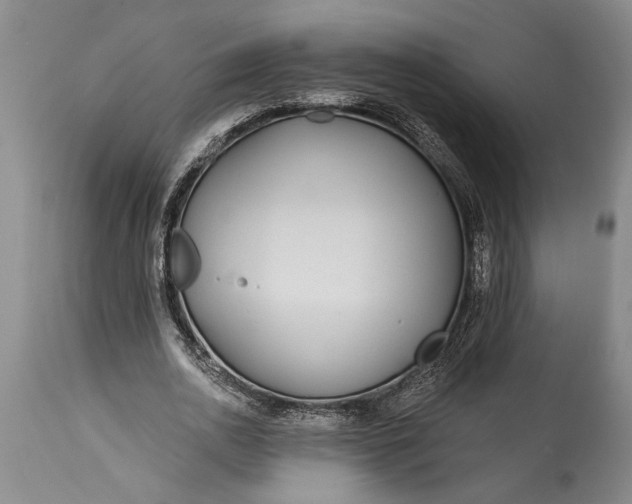 X0000115430726200911181500