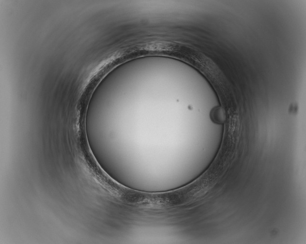 X0000115430727200911181500