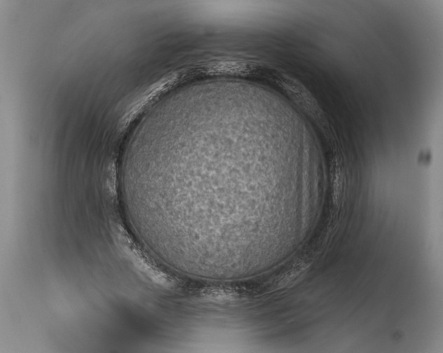 X0000115430729200911181500