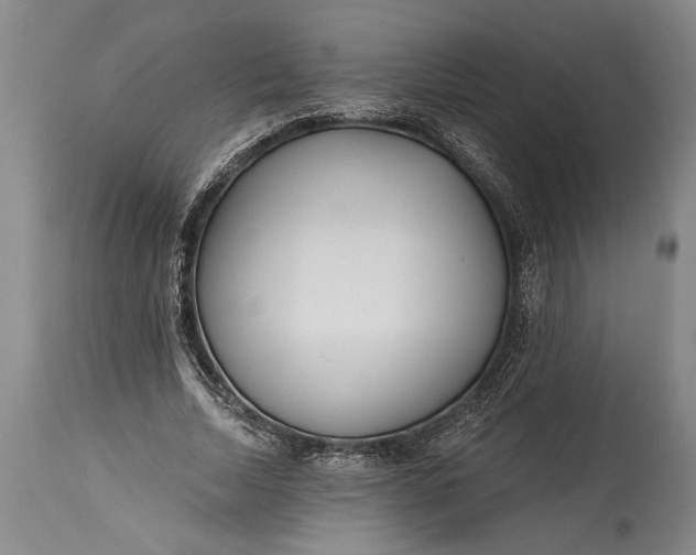 X0000115430730200911181500