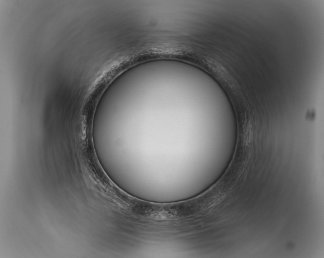 X0000115430731200911181500