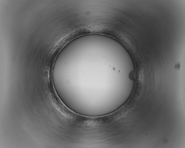 X0000115430733200911181500