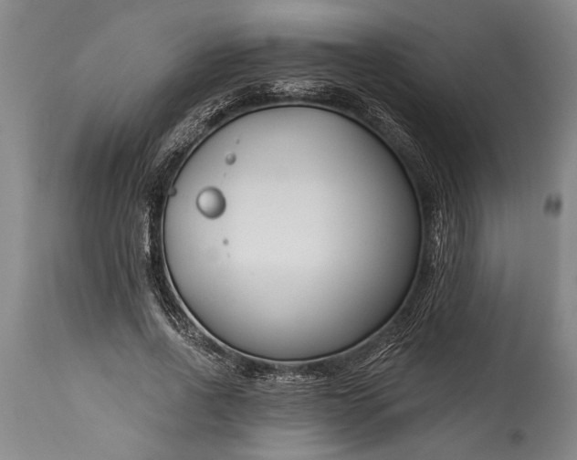 X0000115430734200911181500