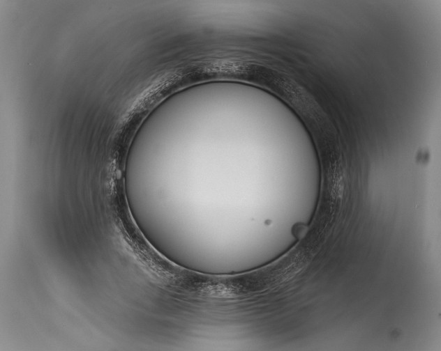 X0000115430735200911181500