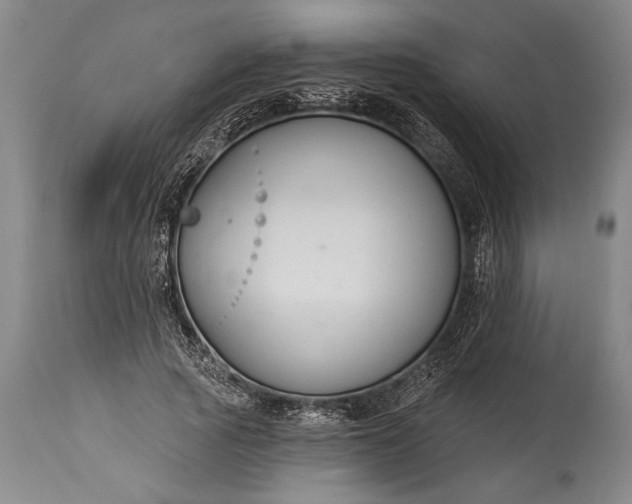 X0000115430737200911181500