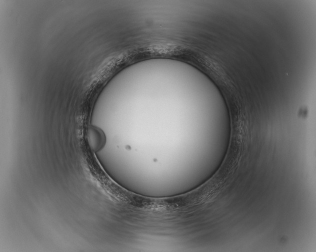 X0000115430738200911181500