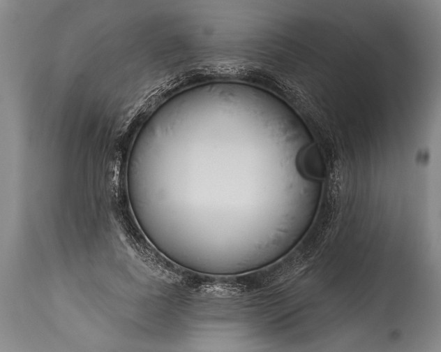 X0000115430739200911181500