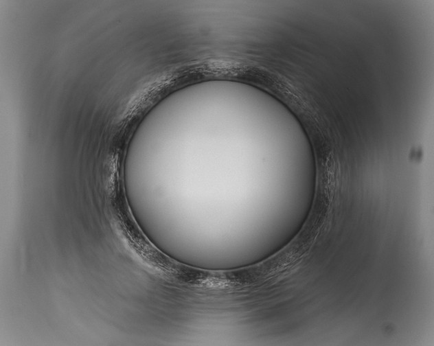 X0000115430742200911181500