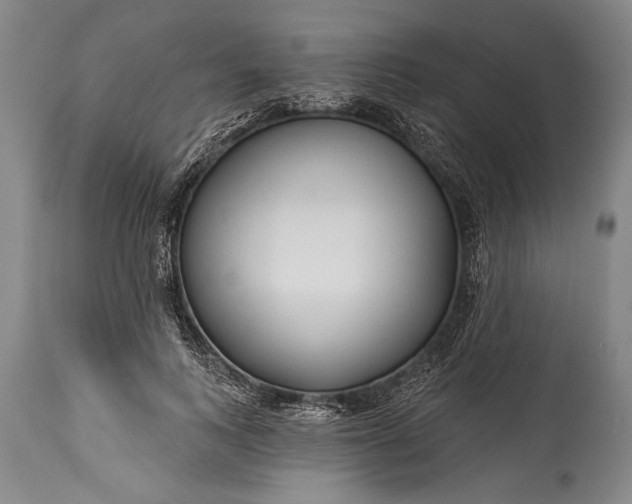 X0000115430743200911181500