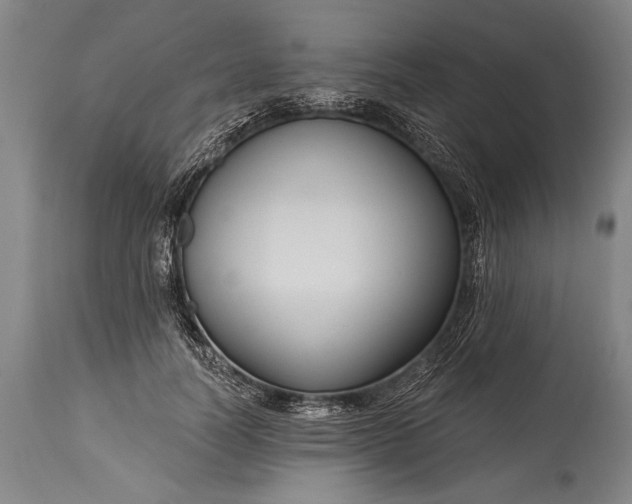 X0000115430746200911181500