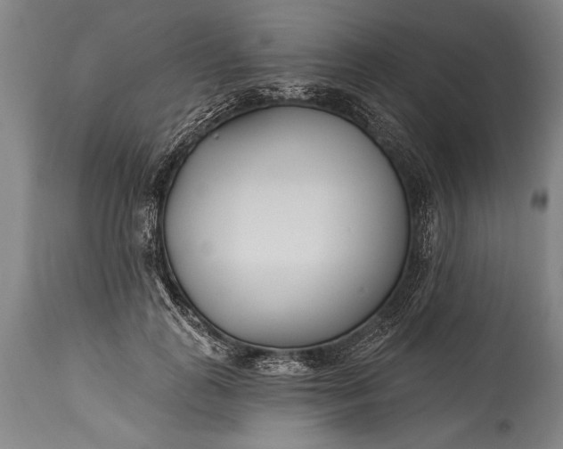 X0000115430747200911181500