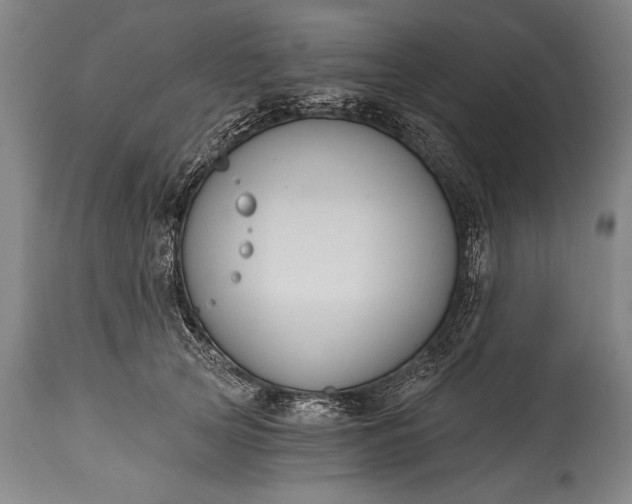 X0000115430753200911181500