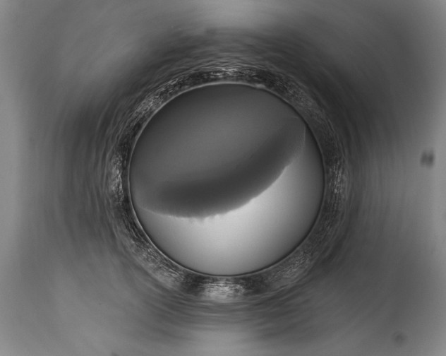 X0000115430754200911181500