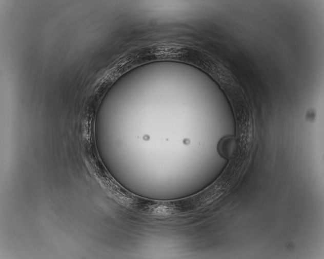 X0000115430755200911181500