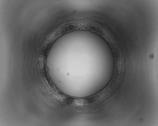 X0000115430757200911181501