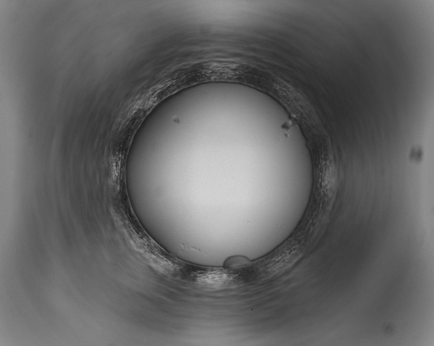 X0000115430759200911181501