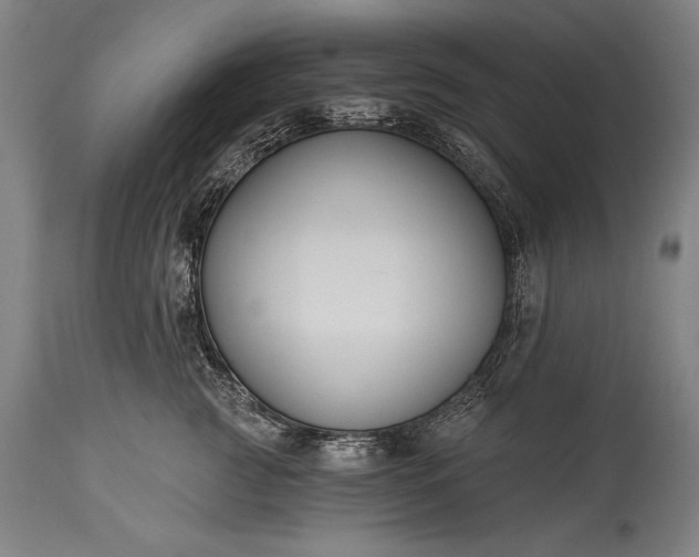 X0000115430761200911181501