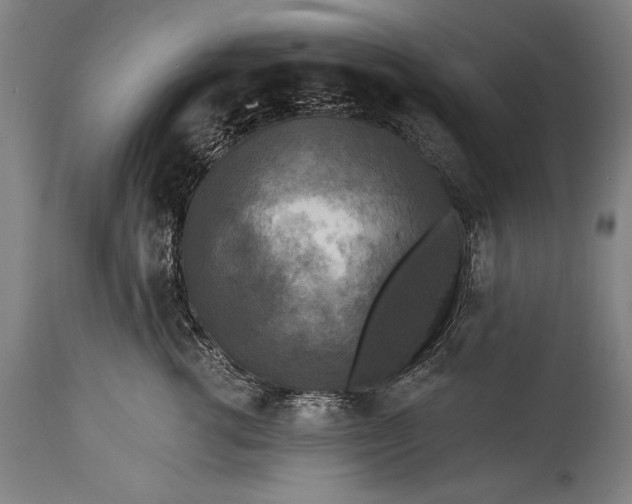 X0000115430762200911181501