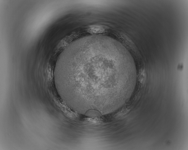 X0000115430763200911181501