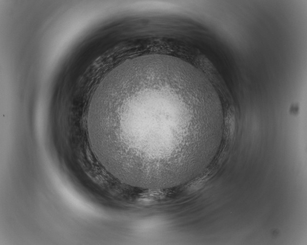 X0000115430765200911181501