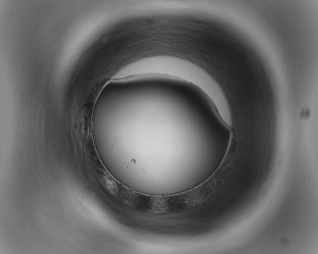 X0000115430766200911181501