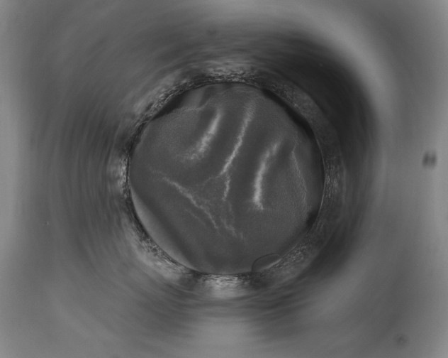 X0000115430767200911181501