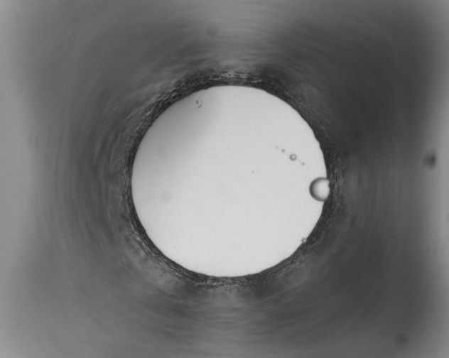 X0000115430769200911181500