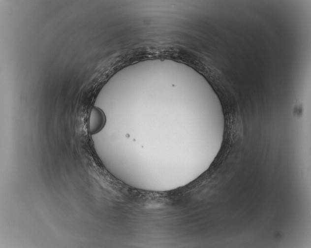 X0000115430770200911181500