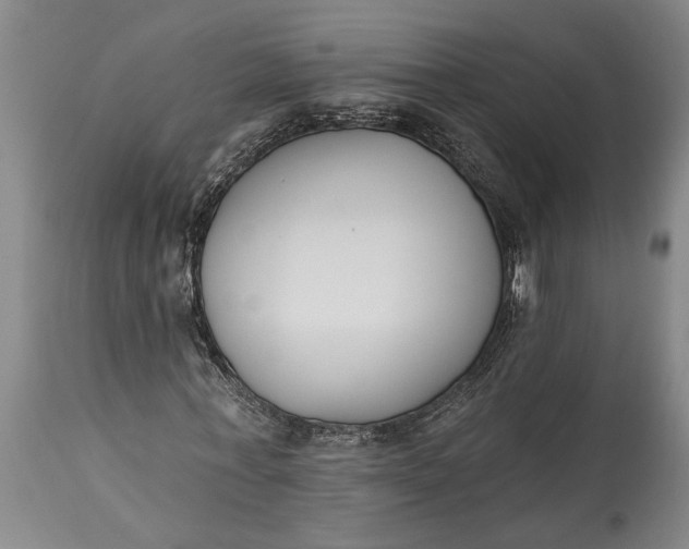 X0000115430771200911181500