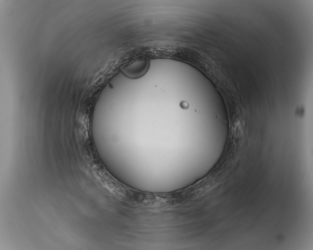 X0000115430772200911181500