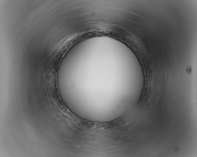 X0000115430773200911181500