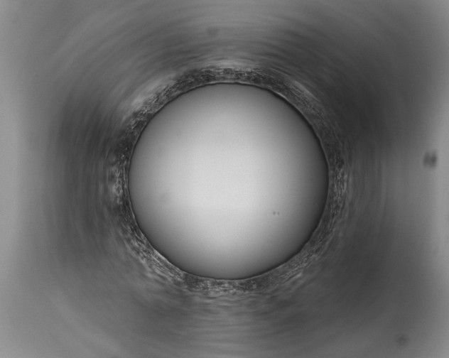 X0000115430774200911181500