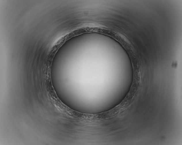 X0000115430775200911181500