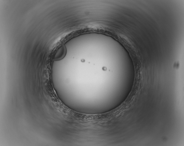 X0000115430776200911181500