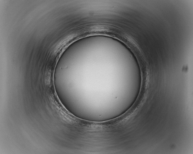 X0000115430777200911181500