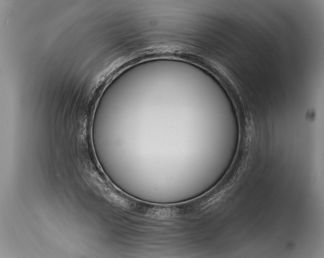 X0000115430778200911181500