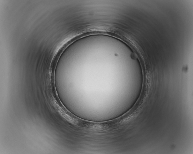 X0000115430779200911181500