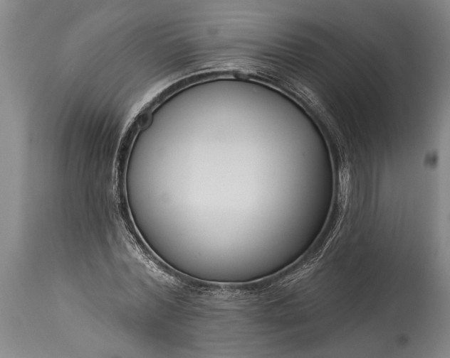 X0000115430780200911181500