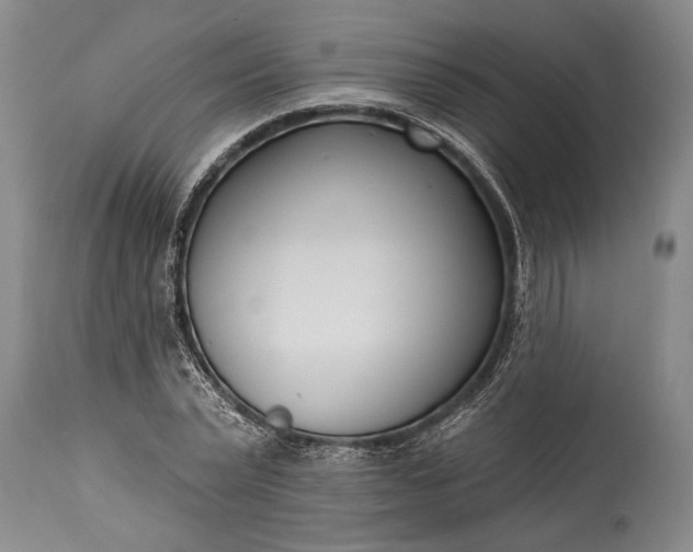 X0000115430783200911181500