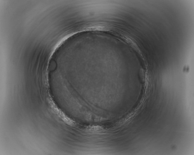 X0000115430784200911181500