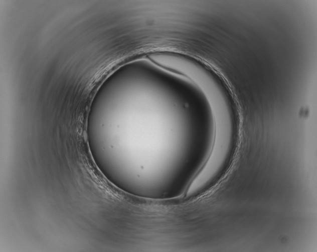 X0000115430785200911181500